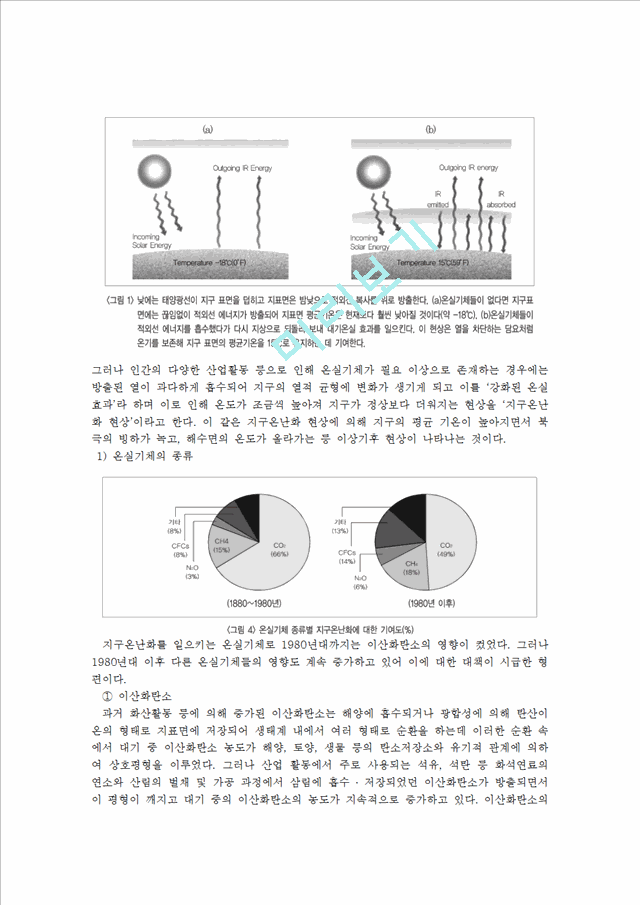 [3000원] 지구온난화에 대한 빙하의 위기와 해결방안,북극의 빙하,온난화문제, 지구온난화 조사레포트.hwp